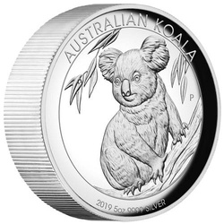 Koala australiano 5 once d'argento 2019 Proof High Relief