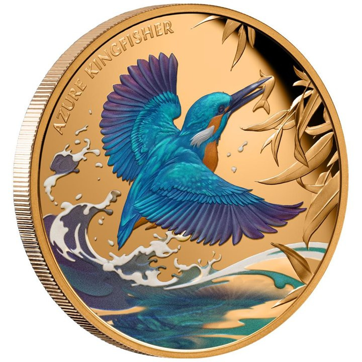 Niue: Azure Kingfisher kolorowany 1 uncja Złota 2023 Proof