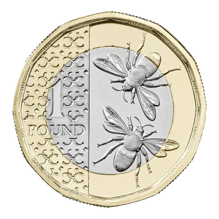 Lote de 8 monedas de cobre Reino Unido Definitive 2025