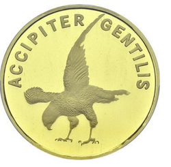 Northern goshawk 31 g Gold 2015