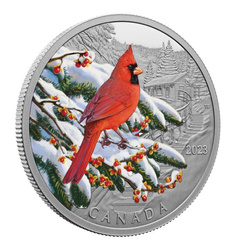 Canada: Colourful Birds - Northern Cardinal kolorowany $20 Srebro 2023 Proof