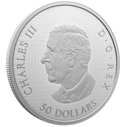 Canada : La libellule et la fleur plaquée or 50 argent 2024 Proof