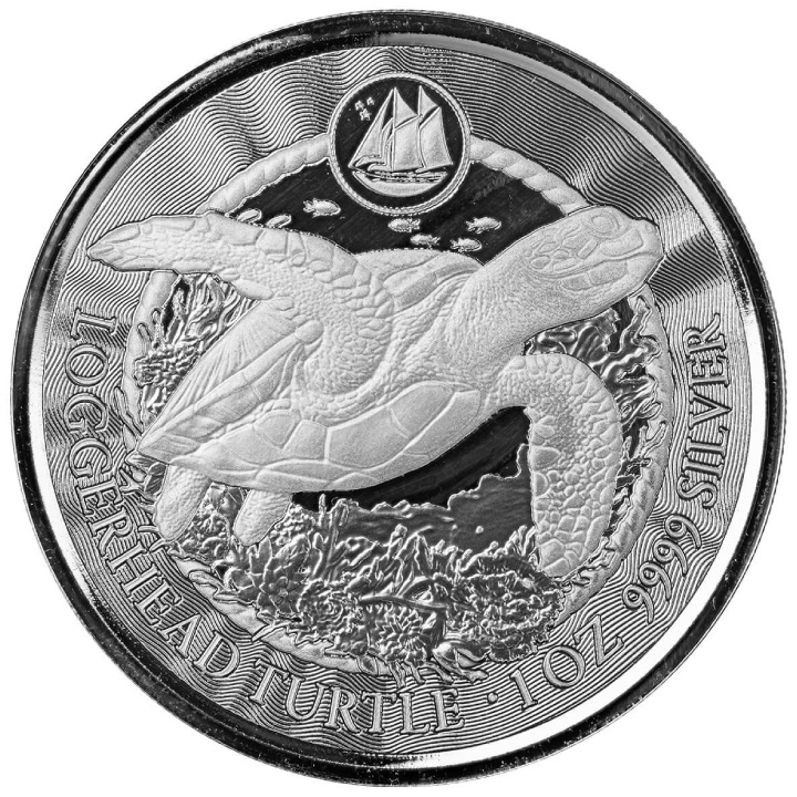 Cayman Islands: Loggerhead Turtle 1 oz Silber 2023 Prooflike