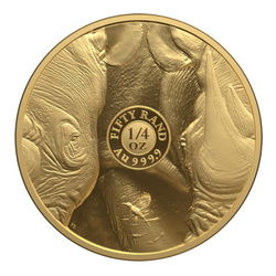 Big Five III: Rhino 1/4 uncji Złota 2025 Proof