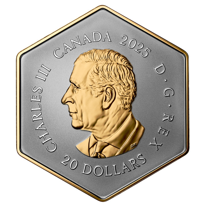 Canada: Snowflake $20 Silver 2024 Reverse Proof