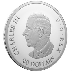 Canada: Remembrance Day coloured $20 Silber 2024 Proof Coin 