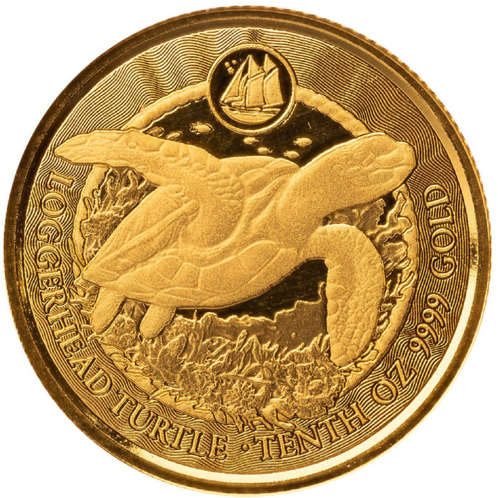 Cayman Islands: Loggerhead Turtle 1/10 oz Gold 2023 Prooflike