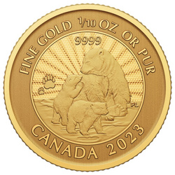 Canada: The Majestic Polar Bear 1/10 oz Gold 2023 (in the card)