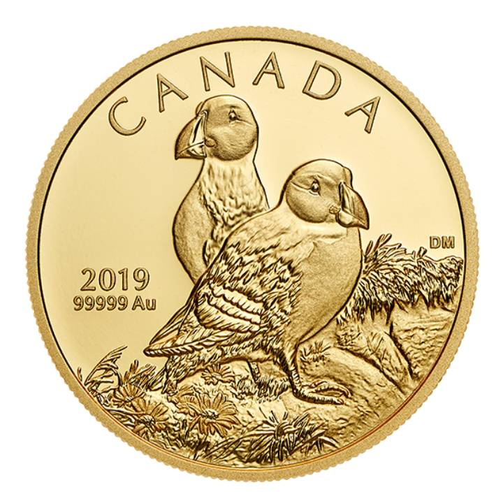 Canada: Atlantic Puffins 1 oncia d'oro 2019 Proof