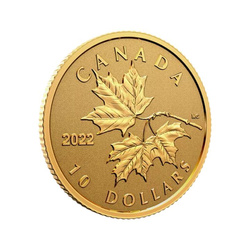 Canada: Everlasting Maple Leaf 1/20 oz Gold 2022 Proof Coin