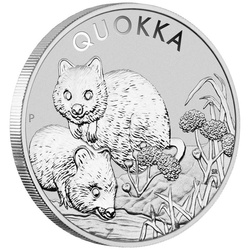Quokka 1 uncja Srebra 2022