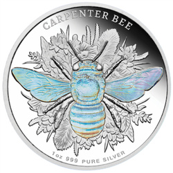 Niue: Australian Native Bees – Abeja carpintera 1 onza Plata 2026 Proof Hologram