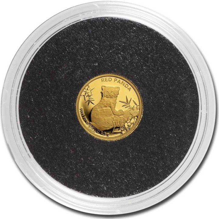 Czad: Red Panda 0,5 gram Gold 2024 Coin