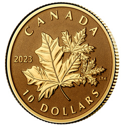 Canada: Everlasting Maple Leaf $10 Złoto 2023 Proof
