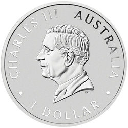 Koala 1 oz Argent 2025