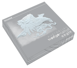 Aigle australien 1000 grammes d'argent 2021 Incused