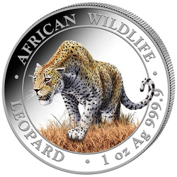 Somalia: African Wildlife - Leopard coloured 1 oz Silver 2023