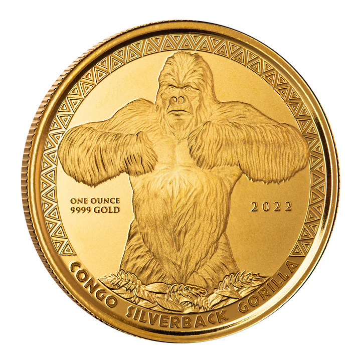 Congo: Gorilla dal dorso argentato 1 oncia d'oro 2022 Proof