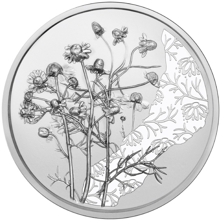 La camomilla 10 Euro Argento 2023