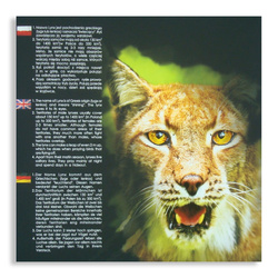 Lengyel forgalmi érmék „Lynx” - érme szett 1 gr - 5 zł 2012