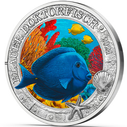 Blue Doctorfish colored 3 Euro Copper 2024