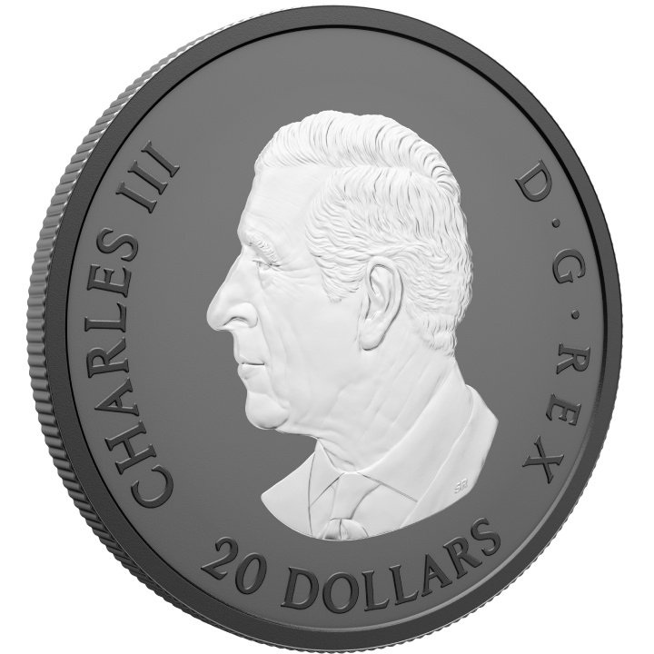 Kanada: Eleganter Ahorn $20 Silber 2025 Matte Proof Münze