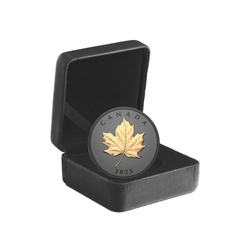 Kanadský Javorový List “Gilded Elegant Maple” pozlacená 1 unce Stříbra 2025 Proof
