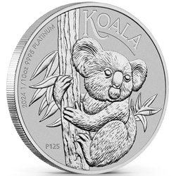 Koala 1/10 oncia di platino 2024