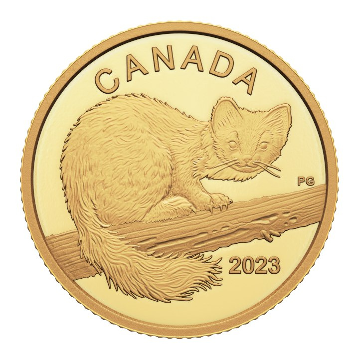 Canadá: The Curious Marten $10 Gold 2023 Proof