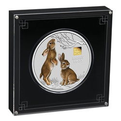 Perth Mint: Lunar III - Year of the Rabbit coloured 1000 grams Silver 2023 Gold Privy Mark