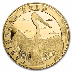 Barbados: Pelícano del Caribe 1 oz Oro 2022