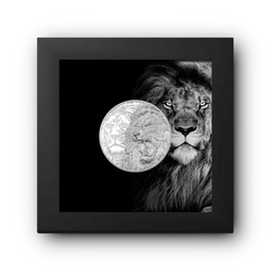 Îles Cook : Roi du Sud - Lion 1 once d'argent 2023 Proof High Relief