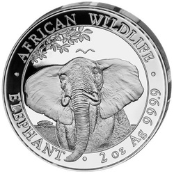 African Wildlife: Słoń Somalijski 2 uncje Srebra 2021