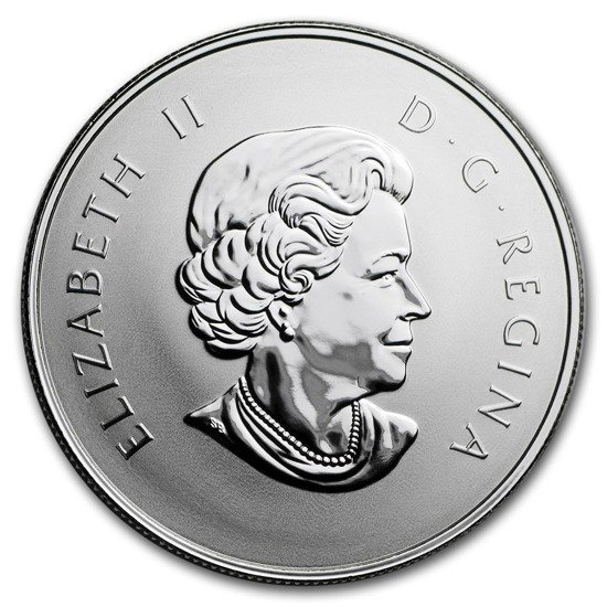 Bienvenido al mundo 1/2 onza Plata 2018