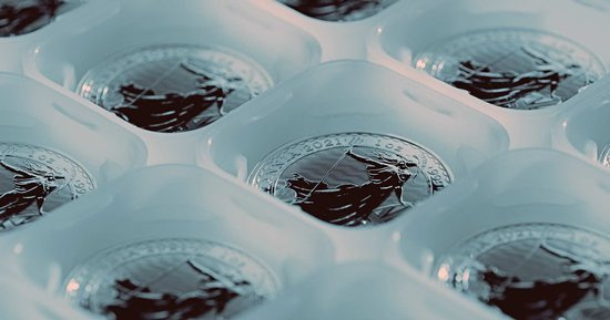 Britannia 1 uncja Srebra 2021 (Milkspot)