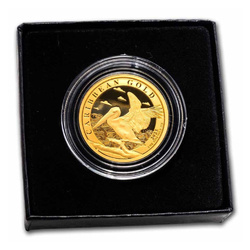 Barbados: Caribbean Pelican 1 oz Gold 2023