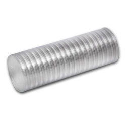 Cigno 1 oncia d'argento 2021