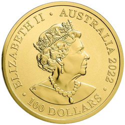 Dusky Dolphin 1 oz Gold 2022