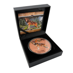 Mesa Grande Sovereign: Roter Wolf coloriert 5 oz Kupfer 2025