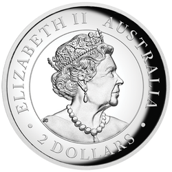 Cavallo selvaggio australiano - Brumby 2 once d'argento 2021 High Relief Proof