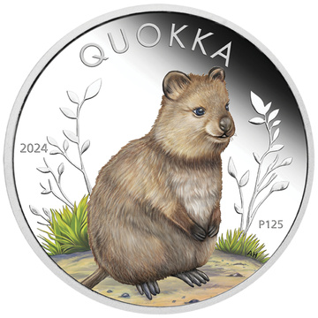 Quokka színes 1 uncia ezüst 2024 Proof