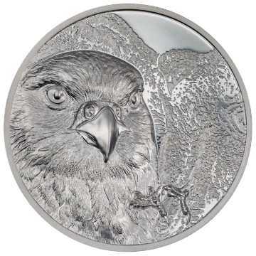 Isole Cook: Cigno nero 2 once d'argento 2023 Black Proof Ultra High Relief