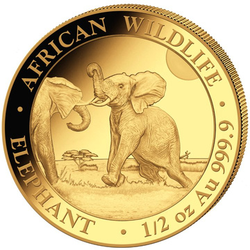 Fauna africana: Elefante somalo 1/2 oncia d'oro 2024