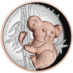 Australijska Koala pozłacana 5 uncji Srebra 2024 Proof High Relief