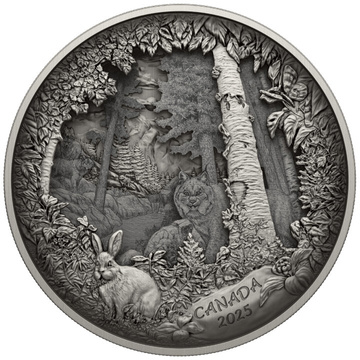Canada: Predator or Prey in Shadow Box $175 Srebro 2025 Antique Finish