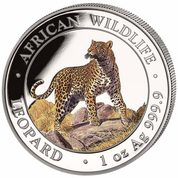 African Wildlife: Leopard kolorowany 1 uncja Srebra 2022