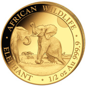 African Wildlife: Słoń Somalijski 1/2 uncji Złota 2024