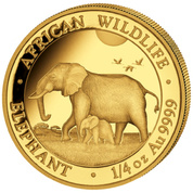 African Wildlife: Słoń Somalijski 1/4 uncji Złota 2022