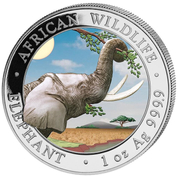 African Wildlife: Słoń Somalijski "Day" kolorowany 1 uncja Srebra 2023 