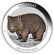 Australijski Wombat kolorowany 1 uncja Srebra 2022